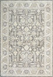 Dynamic Rugs JUPITER 3107-999 Grey and Multi